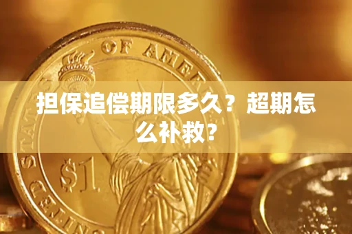武汉担保追偿期限多久？超期怎么补救？