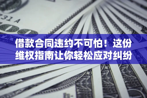 武汉借款合同违约不可怕!这份维权指南让你轻松应对纠纷 武汉借款合同违约不可怕!这份维权指南让你轻松应对纠纷
