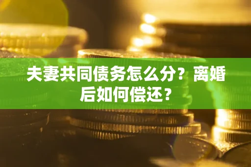 武汉夫妻共同债务怎么分?离婚后如何偿还? 武汉夫妻共同债务怎么分?离婚后如何偿还?
