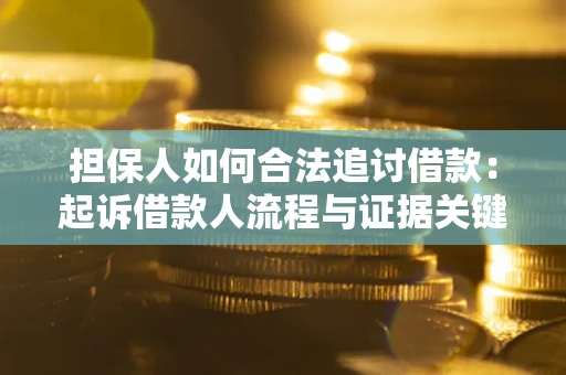 武汉担保人如何合法追讨借款:起诉借款人流程与证据关键点 武汉担保人如何合法追讨借款:起诉借款人流程与证据关键点