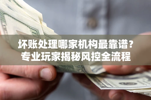 武汉坏账处理哪家机构最靠谱？专业玩家揭秘风控全流程