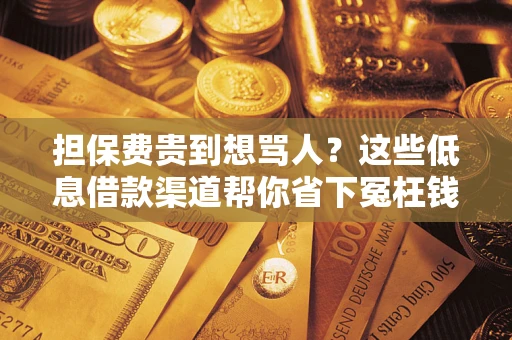 武汉担保费贵到想骂人？这些低息借款渠道帮你省下冤枉钱