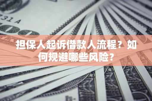 武汉担保人起诉借款人流程？如何规避哪些风险？