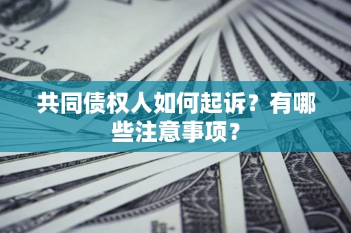 武汉共同债权人如何起诉？有哪些注意事项？