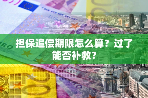 武汉担保追偿期限怎么算？过了能否补救？